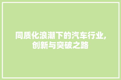 同质化浪潮下的汽车行业,创新与突破之路
