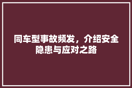 同车型事故频发，介绍安全隐患与应对之路