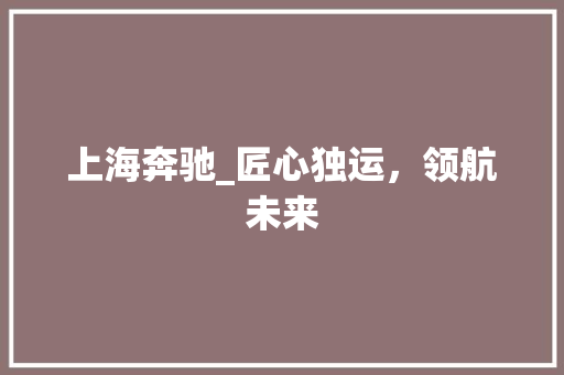 上海奔驰_匠心独运，领航未来 新款车型
