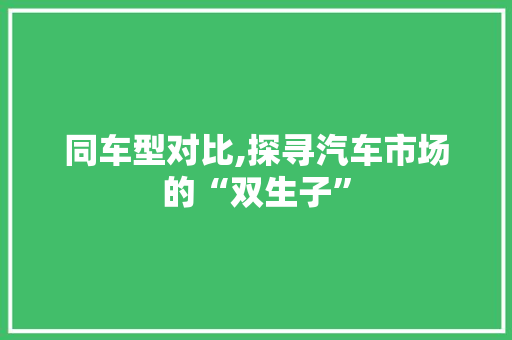 同车型对比,探寻汽车市场的“双生子”