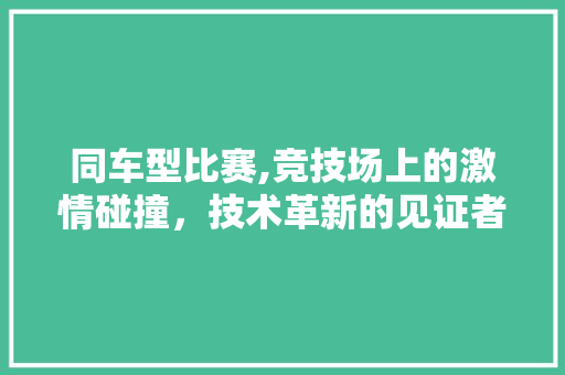 同车型比赛,竞技场上的激情碰撞，技术革新的见证者