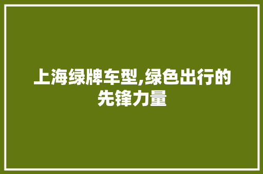 上海绿牌车型,绿色出行的先锋力量 新能源汽车