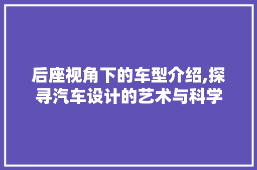 后座视角下的车型介绍,探寻汽车设计的艺术与科学