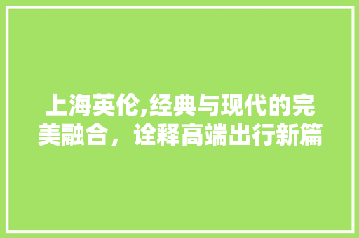 上海英伦,经典与现代的完美融合，诠释高端出行新篇章 发动机配件