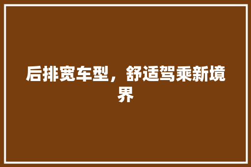 后排宽车型，舒适驾乘新境界