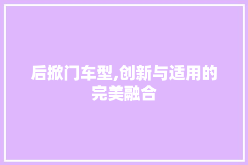 后掀门车型,创新与适用的完美融合