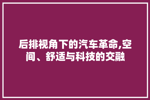后排视角下的汽车革命,空间、舒适与科技的交融