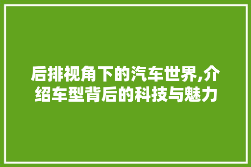 后排视角下的汽车世界,介绍车型背后的科技与魅力