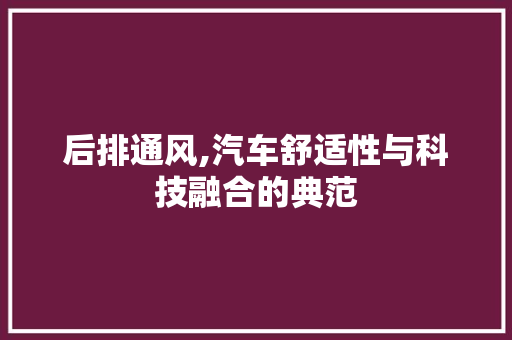 后排通风,汽车舒适性与科技融合的典范