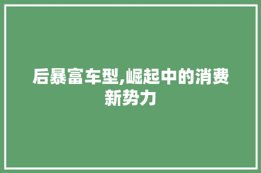 后暴富车型,崛起中的消费新势力