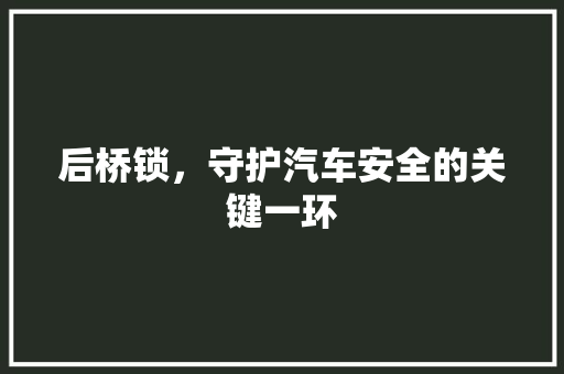 后桥锁，守护汽车安全的关键一环