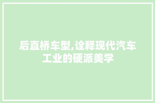 后直桥车型,诠释现代汽车工业的硬派美学