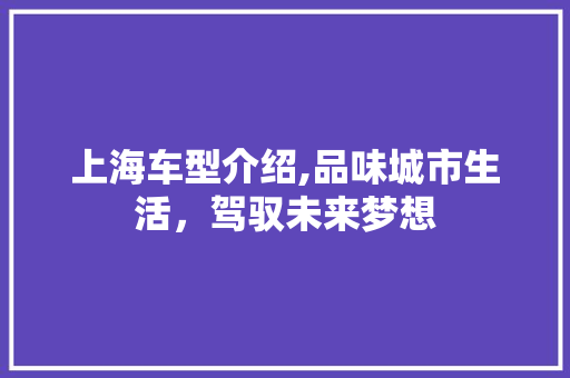 上海车型介绍,品味城市生活，驾驭未来梦想 车灯配件