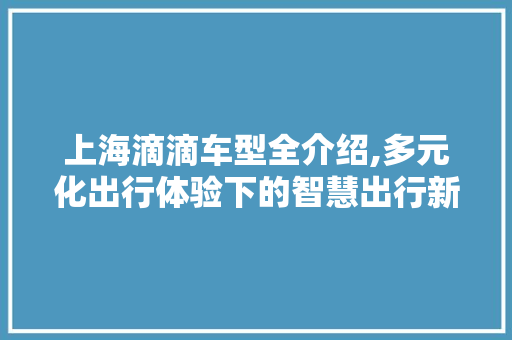 上海滴滴车型全介绍,多元化出行体验下的智慧出行新风尚 蓄电池配件