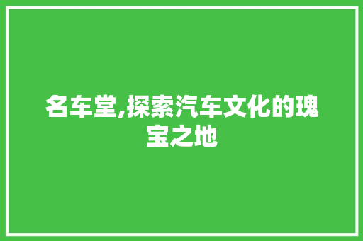 名车堂,探索汽车文化的瑰宝之地