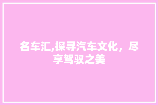 名车汇,探寻汽车文化，尽享驾驭之美