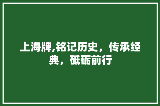 上海牌,铭记历史，传承经典，砥砺前行 蓄电池配件