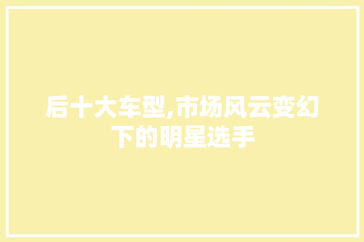 后十大车型,市场风云变幻下的明星选手