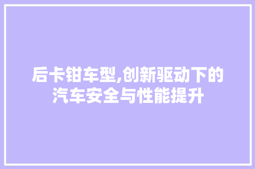 后卡钳车型,创新驱动下的汽车安全与性能提升