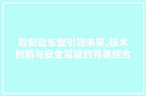 后制动车型引领未来,技术创新与安全驾驶的完美结合 车身配件