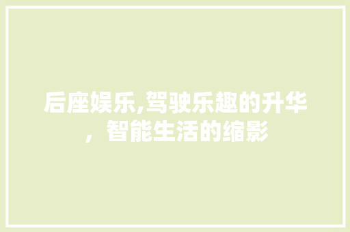 后座娱乐,驾驶乐趣的升华，智能生活的缩影