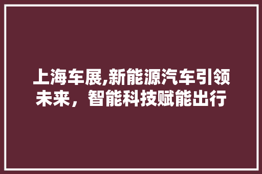 上海车展,新能源汽车引领未来，智能科技赋能出行 蓄电池配件