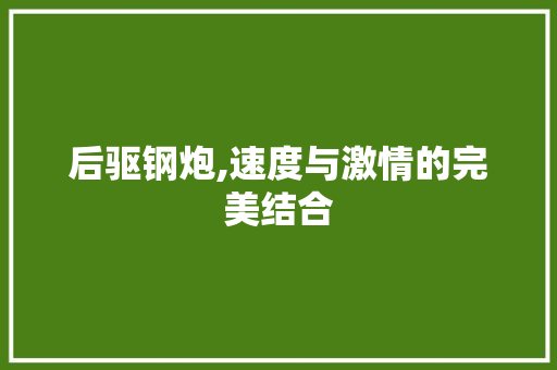 后驱钢炮,速度与激情的完美结合