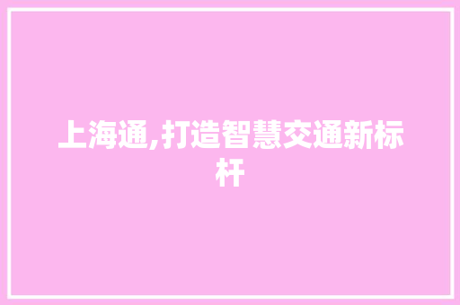 上海通,打造智慧交通新标杆 车灯配件