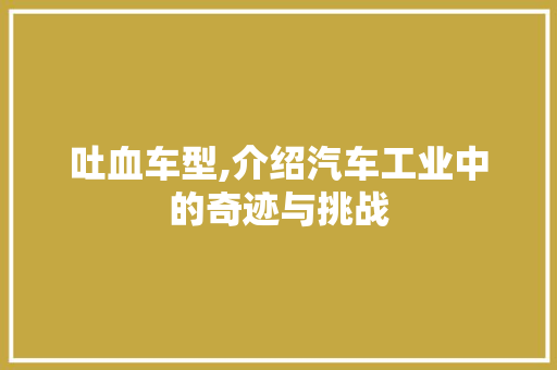 吐血车型,介绍汽车工业中的奇迹与挑战