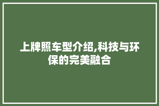 上牌照车型介绍,科技与环保的完美融合 汽车配件