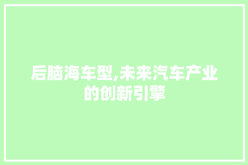 后脑海车型,未来汽车产业的创新引擎