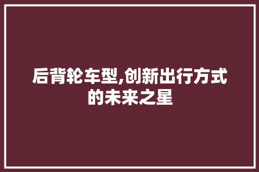 后背轮车型,创新出行方式的未来之星