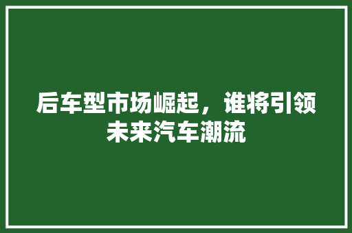后车型市场崛起，谁将引领未来汽车潮流