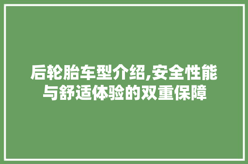 后轮胎车型介绍,安全性能与舒适体验的双重保障