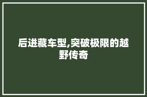 后进藏车型,突破极限的越野传奇