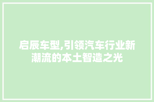 启辰车型,引领汽车行业新潮流的本土智造之光
