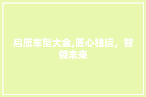 启辰车型大全,匠心独运，智领未来