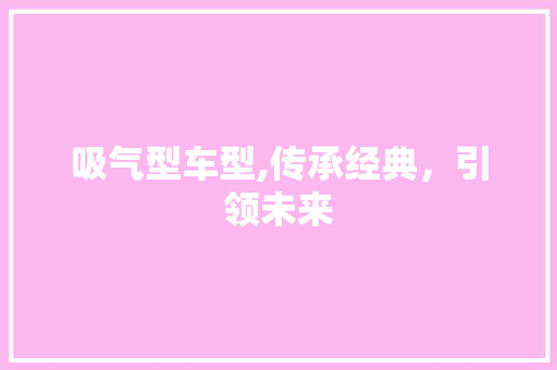 吸气型车型,传承经典，引领未来