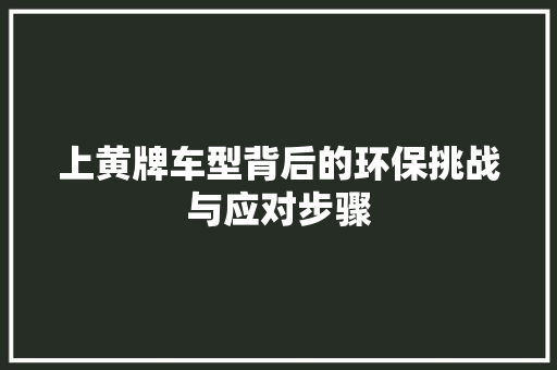 上黄牌车型背后的环保挑战与应对步骤 新款车型