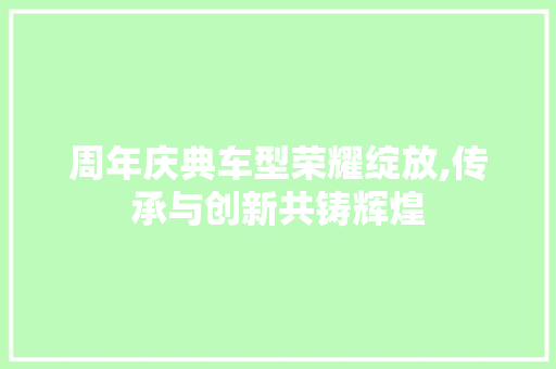 周年庆典车型荣耀绽放,传承与创新共铸辉煌