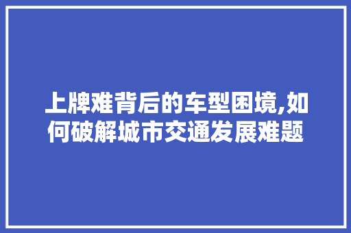 上牌难背后的车型困境,如何破解城市交通发展难题 新能源汽车