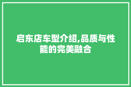 启东店车型介绍,品质与性能的完美融合