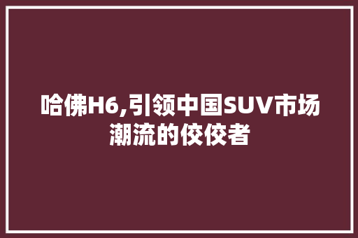 哈佛H6,引领中国SUV市场潮流的佼佼者 底盘配件