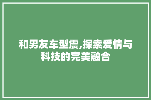 和男友车型震,探索爱情与科技的完美融合
