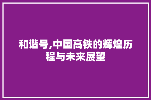 和谐号,中国高铁的辉煌历程与未来展望