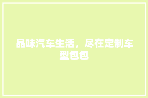 品味汽车生活，尽在定制车型包包