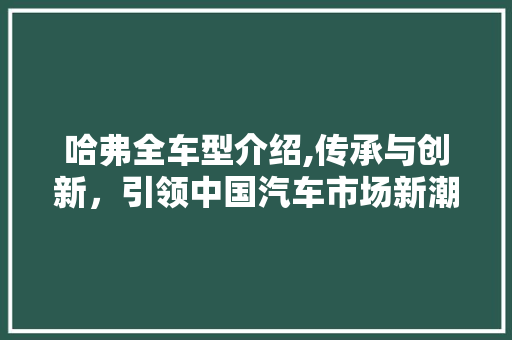 哈弗全车型介绍,传承与创新，引领中国汽车市场新潮流