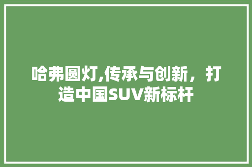 哈弗圆灯,传承与创新，打造中国SUV新标杆