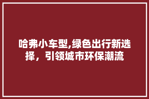 哈弗小车型,绿色出行新选择，引领城市环保潮流