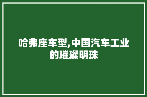 哈弗座车型,中国汽车工业的璀璨明珠